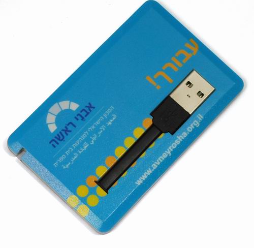 Card USB Flash Drive EUC-007