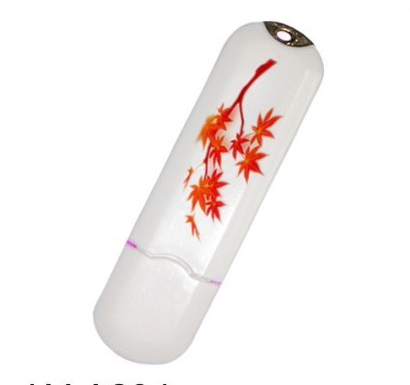 Plastic USB Flash Drive EUP-133