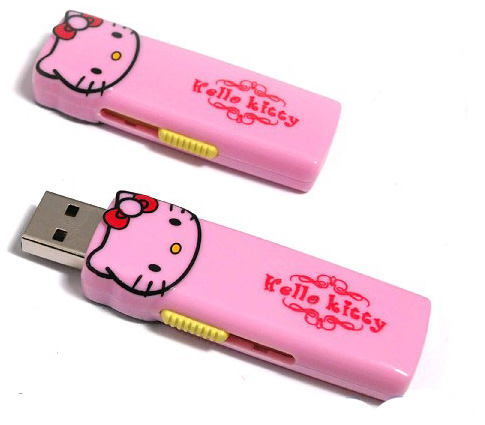 Plastic USB Flash Drive EUP-288